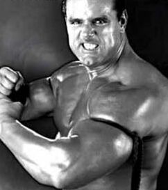 bulldogback2.jpg